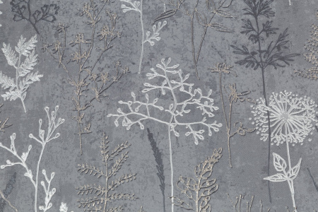 CAT_MACRO_PHOTOlI_PL72354-44_(3)