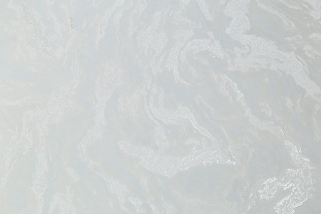 CAT_MACRO_PHOTOiI_PL72375-16_(9)