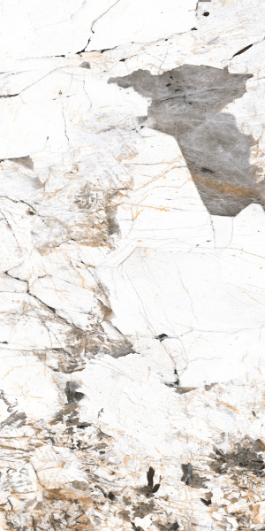 f1d61c22-50a3-11ef-bbec-00505693d103