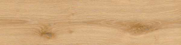 c1327bc8-7e8c-11f0-bb98-000c298441c7