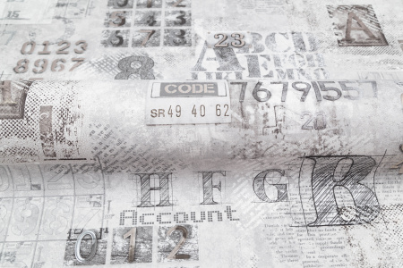 CAT_MACRO_PHOTOvi_VV71920-41_(4)