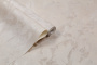 PHOTOrInt_PL72359-22