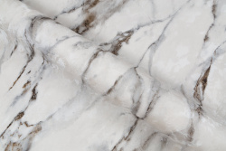 CAT_MACRO_PHOTOqI_HC72319-24_(5)