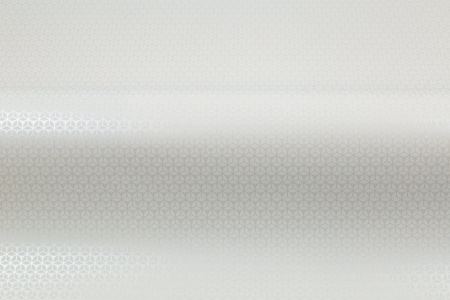 CAT_MACRO_PHOTOyI_HC72364-11_(4)