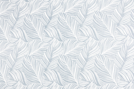 CAT_MACRO_PHOTOyi_HC31187-41_(1)