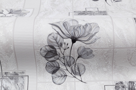 CAT_MACRO_PHOTObI_HC11054-14_(4)