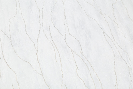 CAT_MACRO_PHOTOnI_SL72199-14_(2)