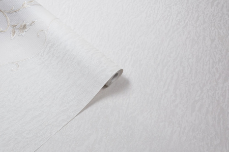 CAT_MACRO_PHOTOaI_HC31235-24uHC31236-24_(1)