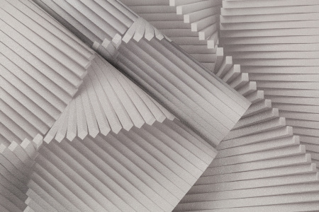 CAT_MACRO_PHOTOaI_HC72177-41_(12)