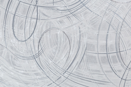 CAT_MACRO_PHOTOeI_PL81592-41_(1)