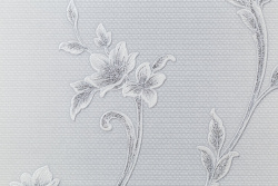 CAT_MACRO_PHOTOsI_HC31235-14_(3)