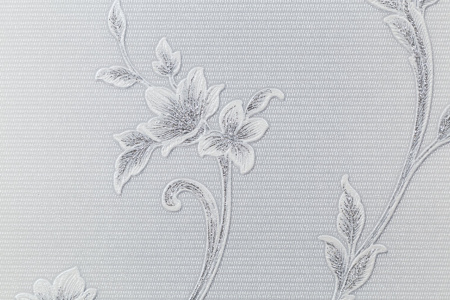 CAT_MACRO_PHOTOsI_HC31235-14_(3)