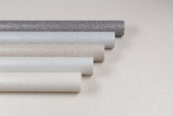 CAT_MACRO_PHOTOcImages_PL72222_(1)