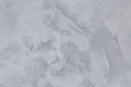 CAT_MACRO_PHOTOcI_PL72359-41_(2)