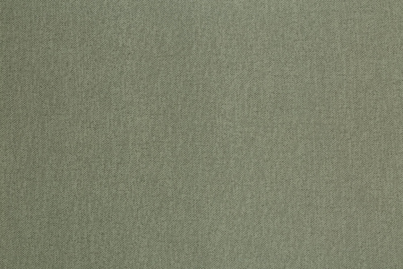 CAT_MACRO_PHOTOoImg_SP71992-74_(1)