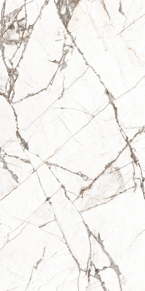 c4699f7c-bf24-11ed-bbb1-00505693d103