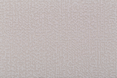 CAT_MACRO_PHOTOvI_HC31186-21_(2)