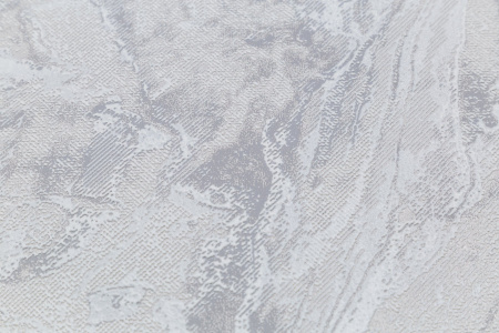 CAT_MACRO_PHOTOkI_HC11064-41_(3)