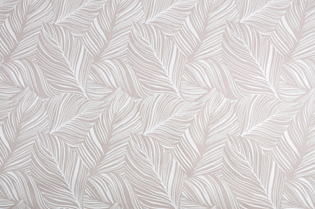 CAT_MACRO_PHOTOpi_HC31187-18_(1)