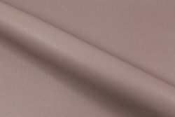 CAT_MACRO_PHOTOkI_PL72947-83_(4)