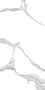 Anima%2060x60%20new