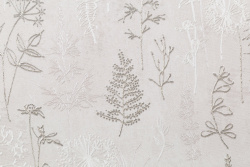 CAT_MACRO_PHOTOgI_PL72354-21_(3)