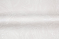 CAT_MACRO_PHOTOkI_HC31226-25_(3)