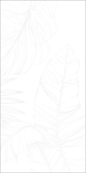 ba9f441a-b17e-11ef-bbf3-00505693d103 ba9f441a-b17e-11ef-bbf3-00505693d103