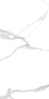 Anima%2060x60%20new
