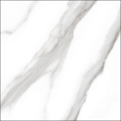 s8z6i0q25yeun99w345yauz4xwcr92oe