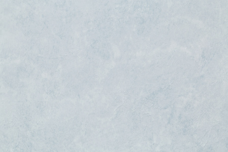 CAT_MACRO_PHOTOxI_HC72173-67_(10)