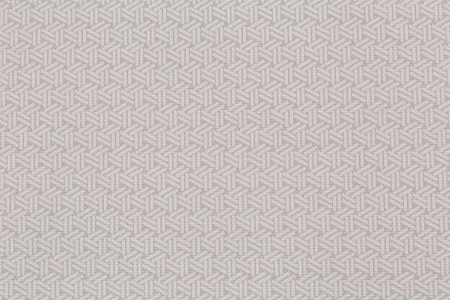 CAT_MACRO_PHOTOfI_HC72339-24_(2)