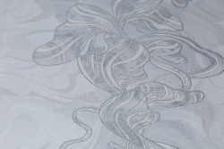 CAT_MACRO_PHOTOgI_HC31228-44_(4)