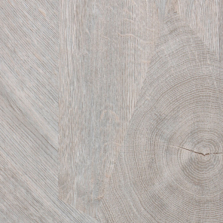 z8il8qu15mooctoyq1j10o4yn0q1k4nb