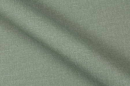 CAT_MACRO_PHOTOzI_VV72301-77_(4)