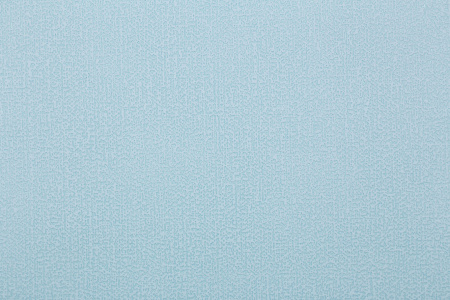 CAT_MACRO_PHOTOsI_HC31186-67_(1)