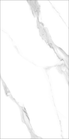 17e10189-b183-11ef-bbf3-00505693d103