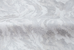 CAT_MACRO_PHOTOgI_HC72427-41_(4)