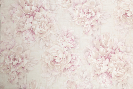 CAT_MACRO_PHOTOoImg_PL71981-22_(10)