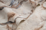 PHOTOsInt_HC72462-43