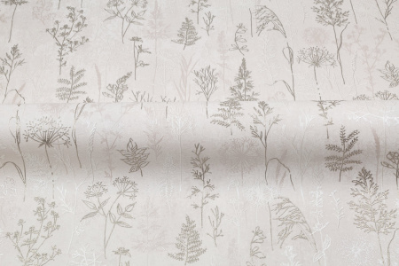 CAT_MACRO_PHOTOmI_PL72354-21_(4)