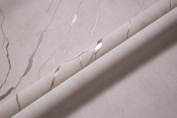 CAT_MACRO_PHOTOqimg_HC72604-22sHC72605-22_(2)