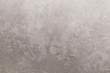 CAT_MACRO_PHOTOtI_HC72173-42_(4)