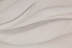 CAT_MACRO_PHOTOzI_PL72358-22_(2)