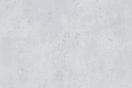 CAT_MACRO_PHOTOeI_PL72355-41_(2)