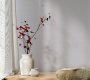PHOTOsInt_HC72364-41