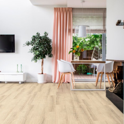 tmp91d62961578ac11b85a90c5337cfaa43