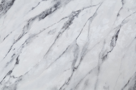 CAT_MACRO_PHOTOfI_HC72319-14_(1)