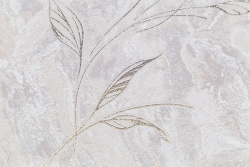 CAT_MACRO_PHOTOsI_HC11063-28_(3)