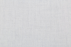 CAT_MACRO_PHOTOlI_HC31213-41_(2)